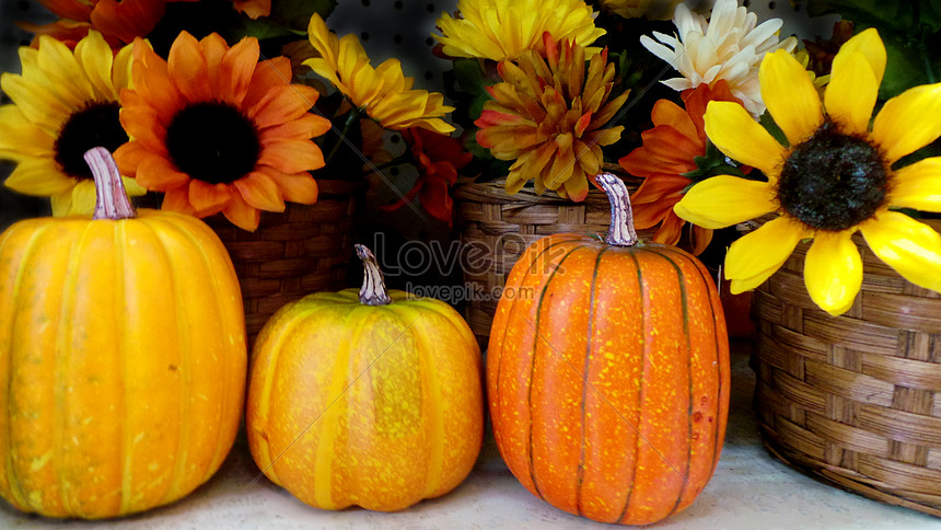 Happy Halloween Background Image Picture And HD Photos | Free Download ...