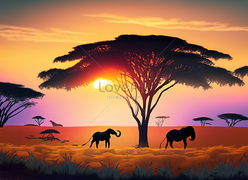 Safari sunset with animals nature wildlife, nature,  wildlife,  animal HD Photo