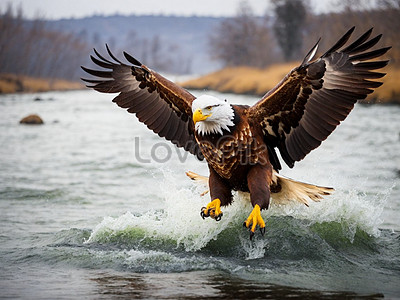 Cartoon Fish Eagle Images, HD Pictures For Free Vectors Download ...