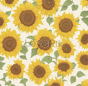 Sunflower Background Images, Hd Pictures For Free Vectors Download 