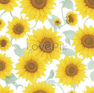 Sunflower Background Images, HD Pictures For Free Vectors Download ...