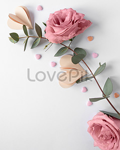 Beautiful Valentines Day Images, HD Pictures For Free Vectors Download ...