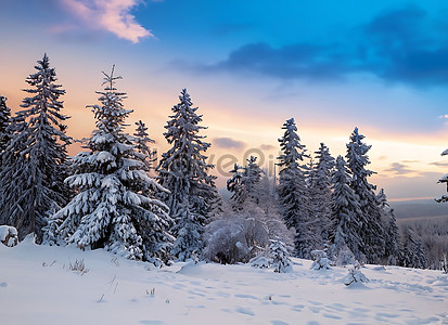 Un Chico Y Una Chica Con Ropa Abrigada Y Bufandas Caminando En Un Bosque  Cubierto De Nieve Y Una Imagen De Campo Foto