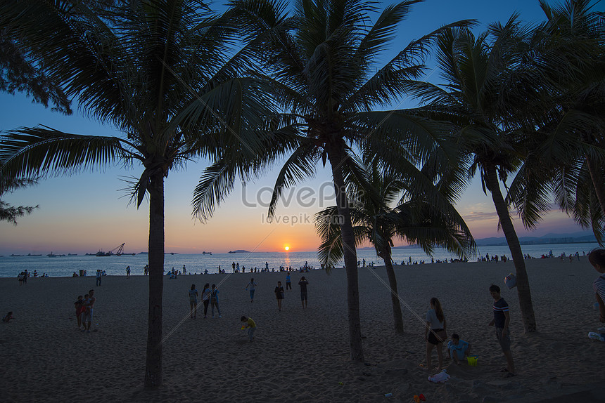 Photo De Coucher De Soleil Palmier Numero De L Image Format D Image Jpg Fr Lovepik Com