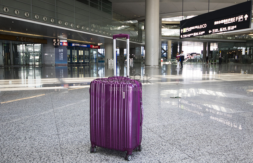 the purple suitcase