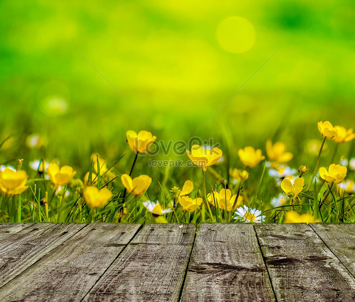 Download Small Yellow Flowers Beside The Wooden Board Creative Image Picture Free Download 500159030 Lovepik Com