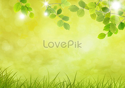 Nature Background Images, HD Pictures For Free Vectors & PSD Download -  