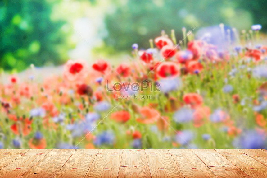 Fondo De Piso De Flores | HD Creativo antecedentes imagen descargar -  Lovepik
