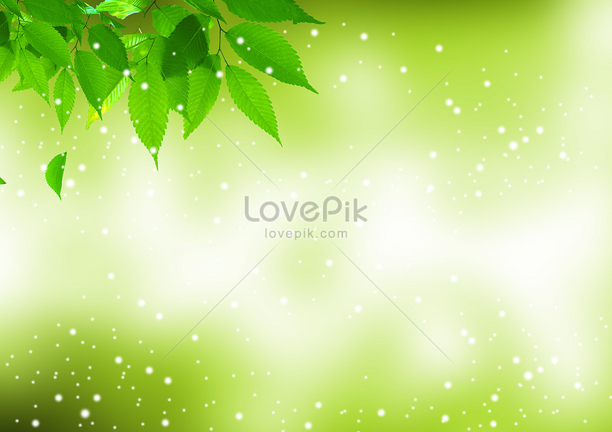 พื้นหลังสีเขียวใบไม้ ดาวน์โหลดรูปภาพ (รหัส) 500182988_ขนาด 1.7  Mb_รูปแบบรูปภาพ Jpg _Th.Lovepik.Com