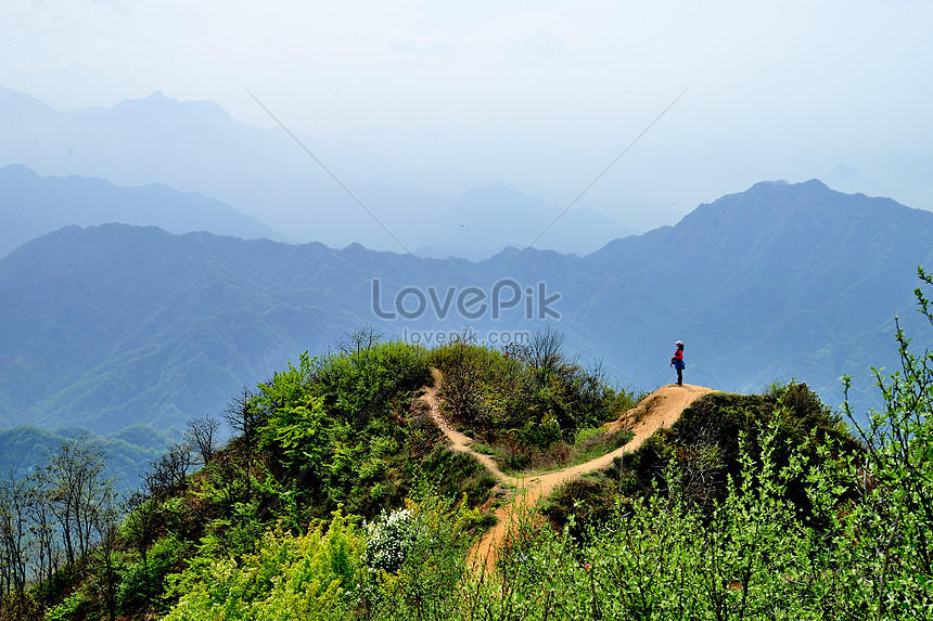 12+ Pemandangan Alam Love - Kumpulan Gambar Pemandangan