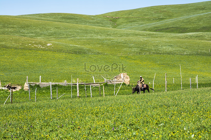 The Scenery Of Yili Xinjiang Picture And Hd Photos Free Download On