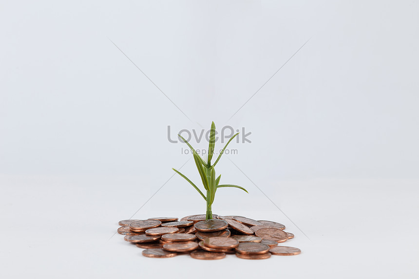 錢幣和植物圖片素材 Jpg圖片尺寸5472 3648px 高清圖片 Zh Lovepik Com