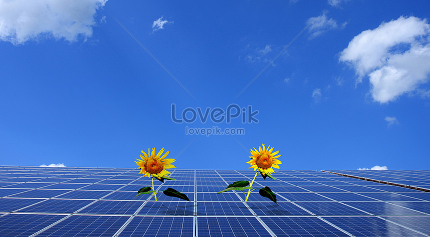 Girasol Sobre Panel Solar | HD Creativo antecedentes imagen descargar -  Lovepik