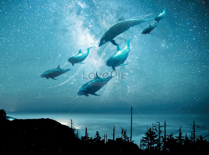 Hình Nền Dưới Những Vì Sao Cá Heo Bơi Tải Về Miễn Phí, Hình ảnh trời, bầu  trời đêm lung linh, và cá heo Sáng Tạo Từ Lovepik