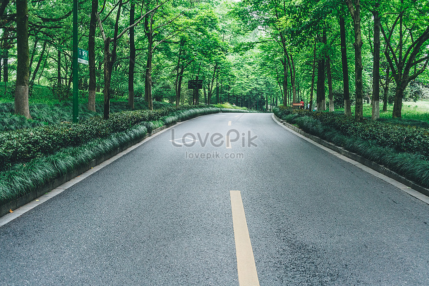 รูปถนนต้นไม้สีเขียว, Hd รูปภาพทางหลวง, กว้าง, เปิด ดาวน์โหลดฟรี - Lovepik