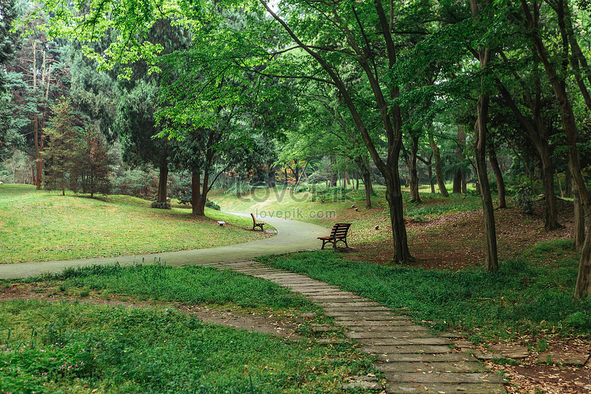 植物園レジャー緑の風景イメージ 写真 Id Prf画像フォーマットjpg Jp Lovepik Com