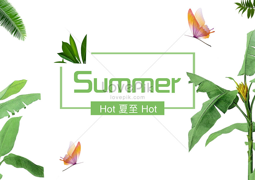 Summer solstice background creative image_picture free download