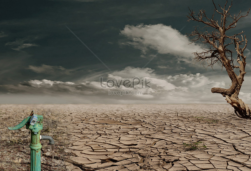 A dry field creative image_picture free download 500416608_lovepik.com