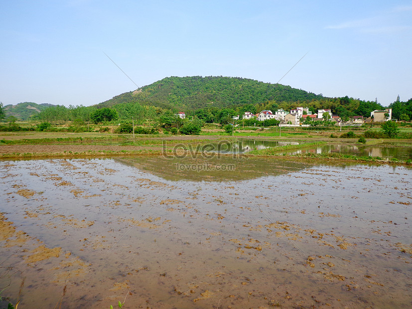 Terbaru 30 Gambar  Pemandangan  Gunung  Dan  Sawah  