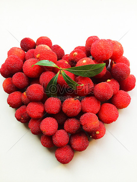 Photo De Amour Murier Feuille Verte Fruit Mur Fruit Arbre Rouge Numero De L Image500442263 Format D Image Jpg Fr Lovepik Com