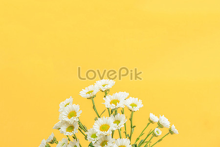 Download Free 89907 Yellow Pictures Yellow All Stock Images Lovepik Com SVG Cut Files