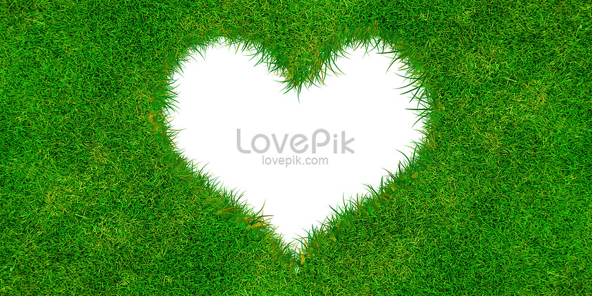 Hình ảnh trái tim xanh lá cây đẹp tuyệt vời này sẽ khiến cho trái tim của bạn đập nhanh hơn vì sự yêu thương và hy vọng mà nó mang đến.