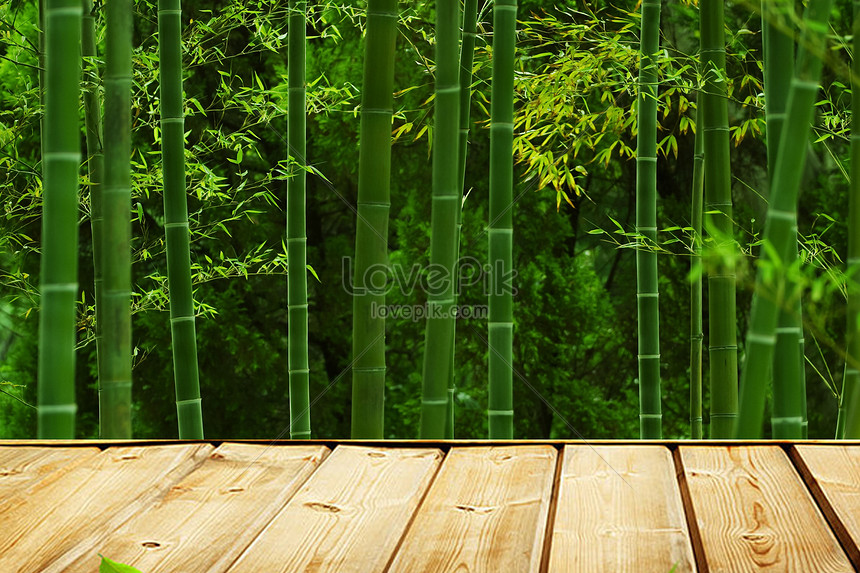 대나무 숲 배경 이미지, Hd 배경, 재료, 대나무 배경 사진 무료 다운로드 - Lovepik