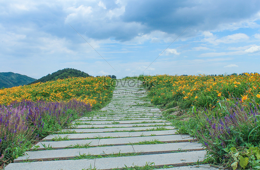 花と曲がりくねった道イメージ 写真 Id Prf画像フォーマットjpg Jp Lovepik Com