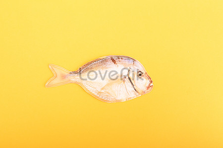 Download Download Fish Yellow Photos Fish Yellow Images For Free Lovepik Yellowimages Mockups