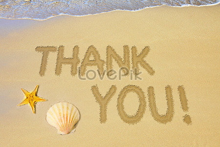 Beach Letter Images, HD Pictures For Free Vectors Download - Lovepik.com