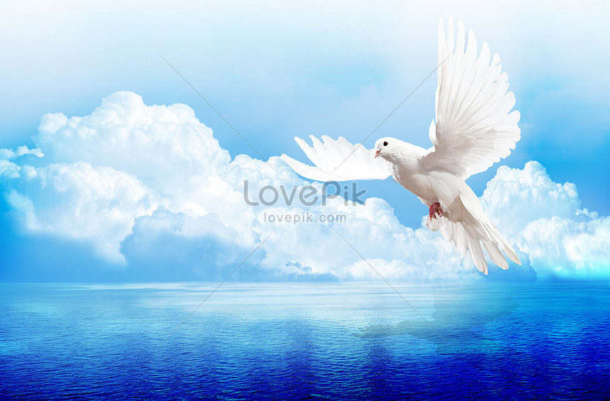 青い空と白い鳩イメージ クリエイティブ Id Prf画像フォーマットjpg Jp Lovepik Com