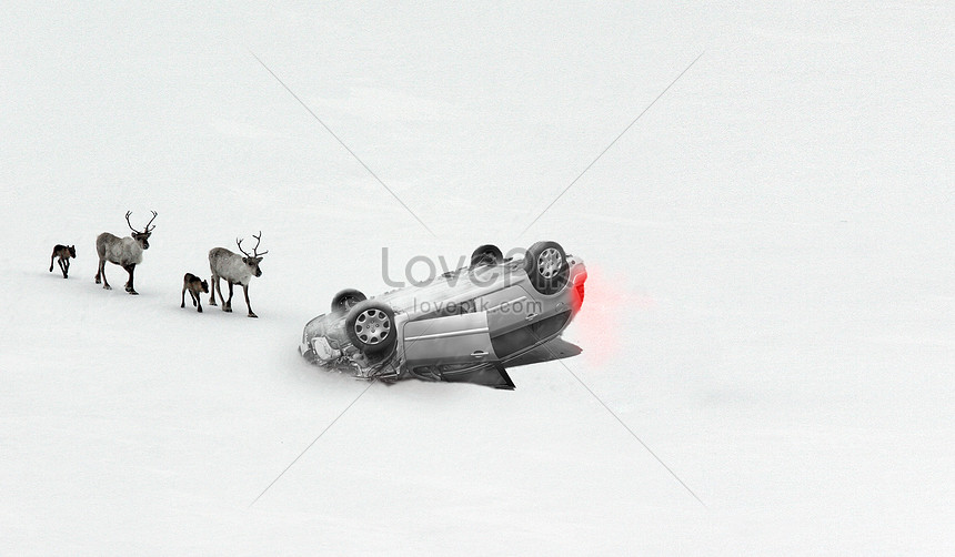 白い雪のロールオーバー車の事故エルクシンプルな壁紙イメージ クリエイティブ Id Prf画像フォーマットjpg Jp Lovepik Com