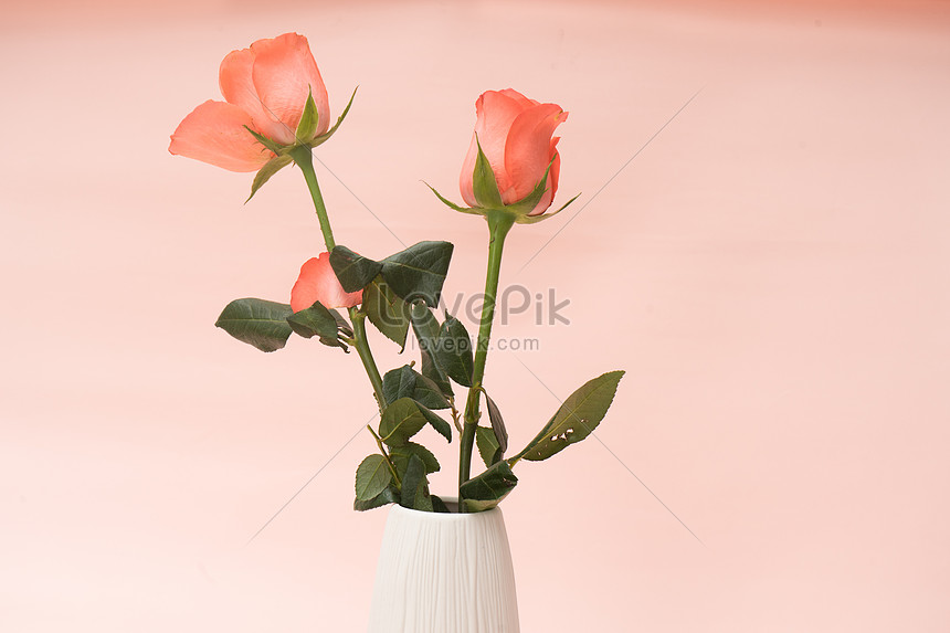 花瓶のバライメージ 写真 Id 500543075 Prf画像フォーマットjpg Jp Lovepik Com