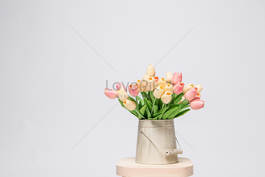 Bahan Bunga Tulip Putih Gambar Unduh Gratis Foto 500583250 Format Gambar Jpg Lovepik Com
