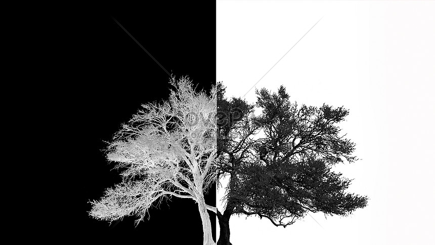 Изображения по запросу Скачать белый фон дерева