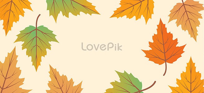 Maple Leaf Background Images, HD Pictures For Free Vectors & PSD Download -  