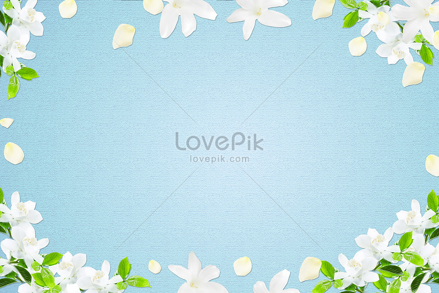 White Flowers Take A Blue Background Photo Image Picture Free Download Lovepik Com