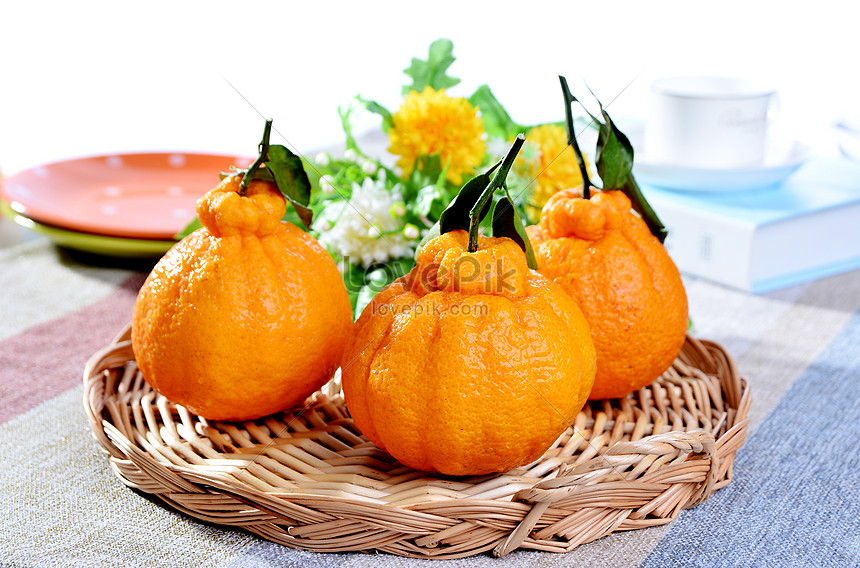 醜い柑橘系の新鮮な果物イメージ 写真 Id Prf画像フォーマットjpg Jp Lovepik Com