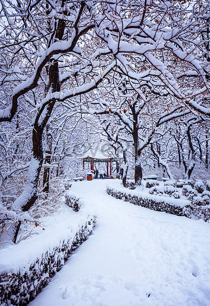 冬の美しい雪景色イメージ 写真 Id Prf画像フォーマットjpg Jp Lovepik Com