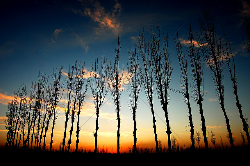 11 Foto Pemandangan Alam Saat Senja Rudi Gambar