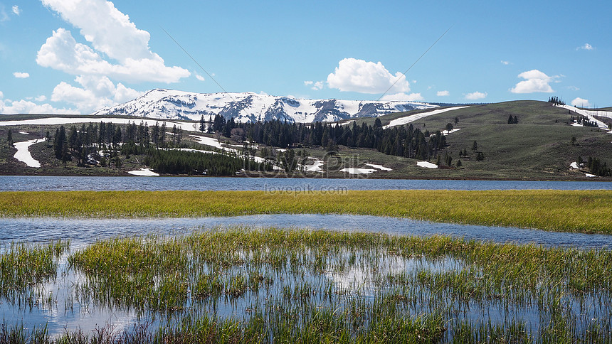 Yellowstone Pemandangan Amerika Natural Park Gambar Unduh