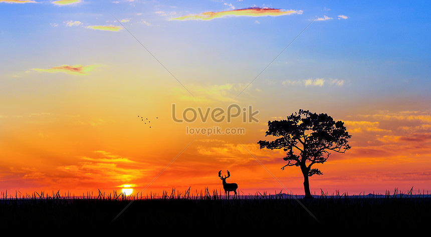 大草原の美しい夕日イメージ クリエイティブ Id 500709948 Prf画像フォーマットjpg Jp Lovepik Com