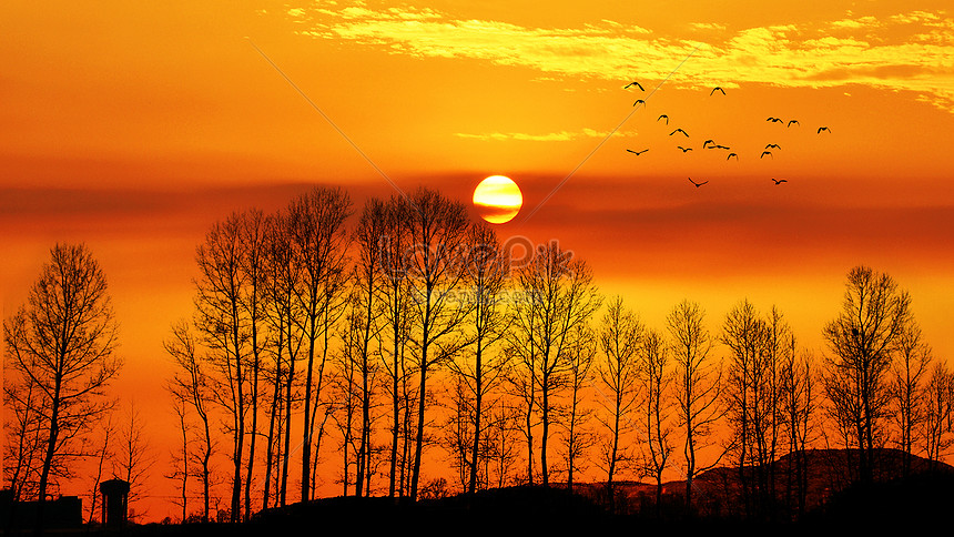 夕暮れの美しい夕暮れのシルエットイメージ 写真 Id Prf画像フォーマットjpg Jp Lovepik Com