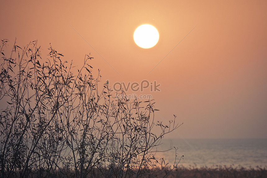 秋の夕日イメージ 写真 Id Prf画像フォーマットjpg Jp Lovepik Com
