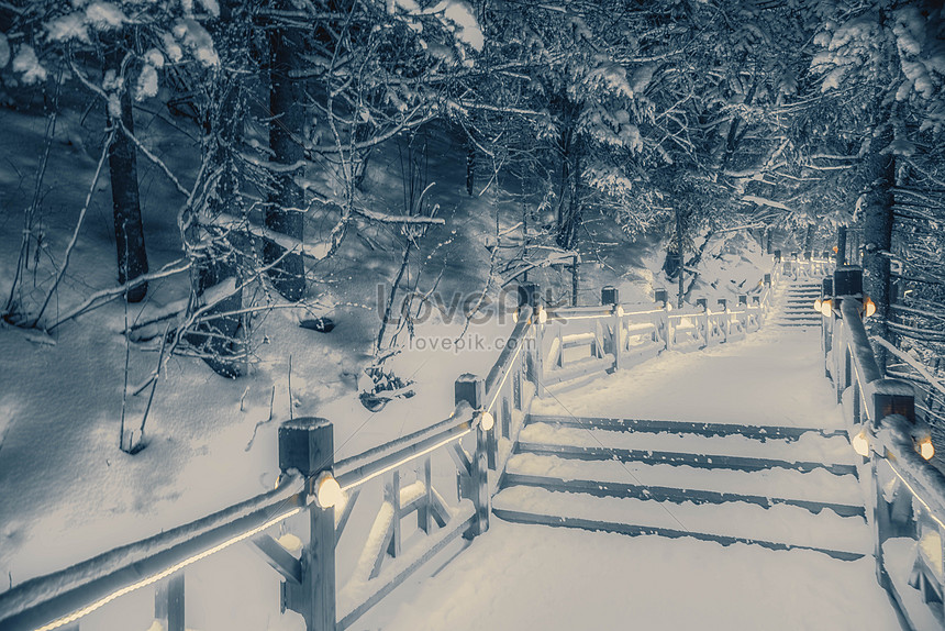 夜の森の雪景色イメージ 写真 Id Prf画像フォーマットjpg Jp Lovepik Com