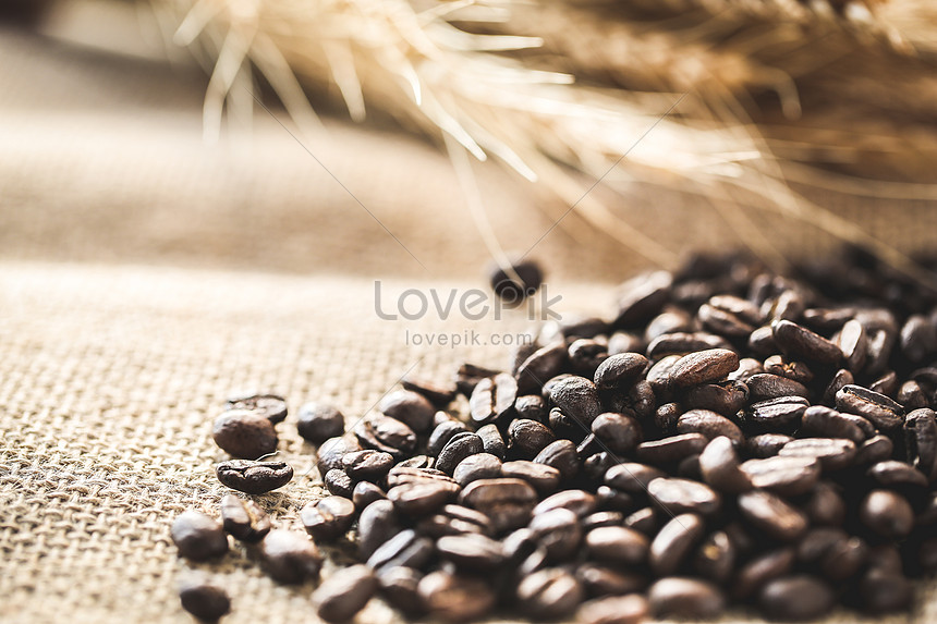 コーヒー文化コーヒー豆素材イメージ 写真 Id Prf画像フォーマットjpg Jp Lovepik Com