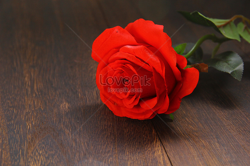 valentines day rose poster with mobile phone template image picture free download 400108619 lovepik com lovepik