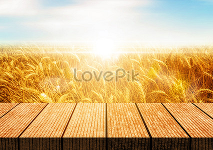 Outdoor Background Images, HD Pictures For Free Vectors & PSD Download -  