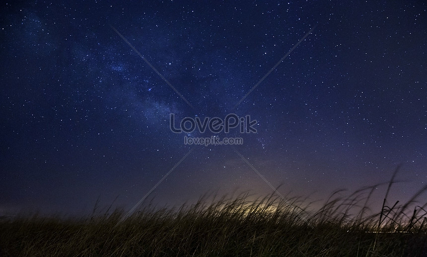 Campo De Estrellas De Invierno Descarga Gratuita Hd Imagen De Fotografia Lovepik