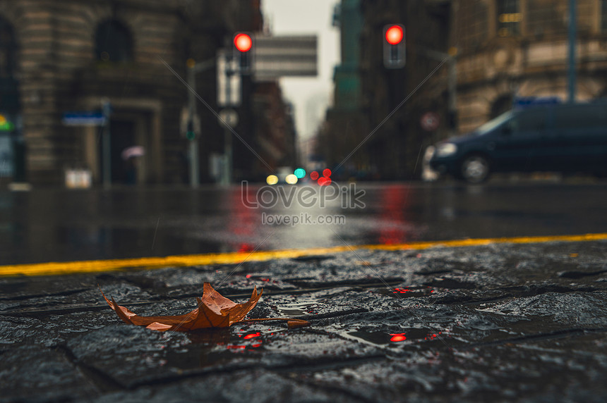 Bạn cảm thấy muốn tìm một bức ảnh đường phố mưa sáng tạo? Bức ảnh này sẽ mang đến cho bạn những khoảnh khắc tuyệt đẹp và cảm giác thích thú tột độ với những tán cây, người qua lại và những hạt mưa nhỏ. Hãy xem ảnh đường phố mưa để tận hưởng cảm giác như thật chuẩn từng giọt nước.